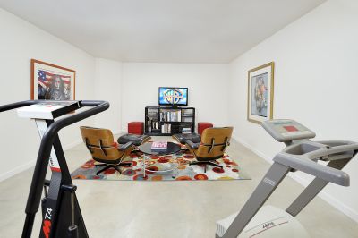 Downstairs Media & Workout