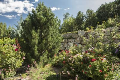 Detail of flowering gardens and high stone wall.