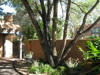 Entry Courtyard