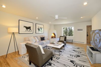 Lower-level living room 