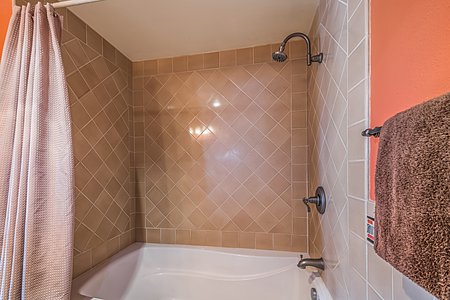 Master bathroom tub and shower