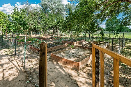 Fenced in Raised Vegetable Beds