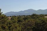 Summer time View of the Sangre de Cristo Mountains from the Back Yard