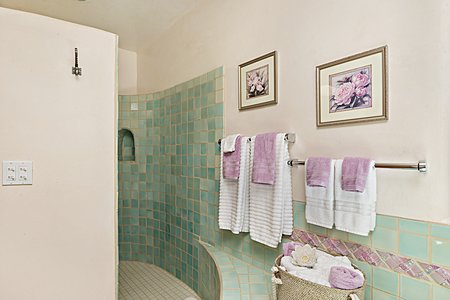 En suite master bath with open shower stall