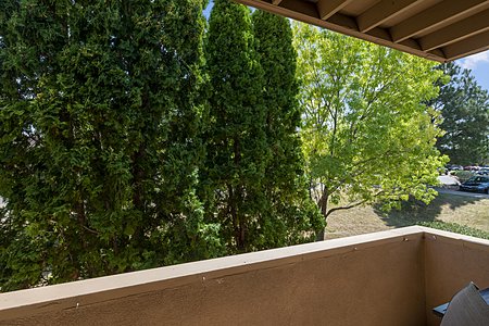 Privacy from deck off living room 