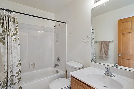 Guest Bathroom (Main Level)