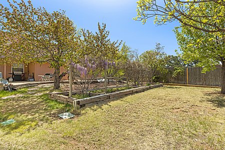 Spacious, fenced back yard with many fruit trees and raised beds