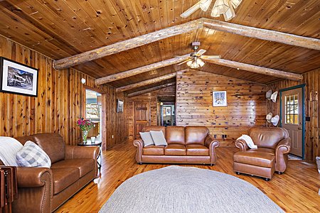 Cabin style great room