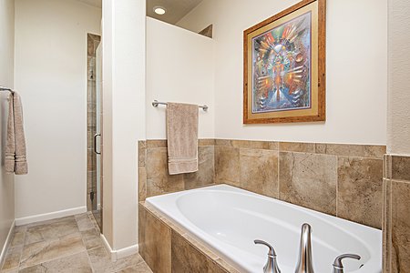 Owners bathroom with tub and walk-in shower