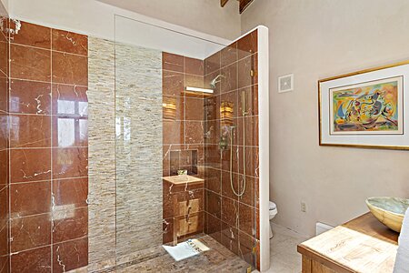 West Wing walk-in shower walls and floor are Petrified Wood