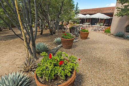 Easy care xeriscaping on the grounds of the Hacienda