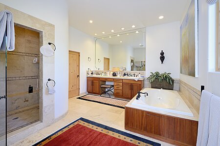 Owner's Bath Area