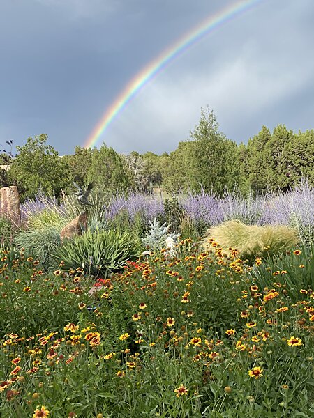 Wildflower Garden and Rainbow