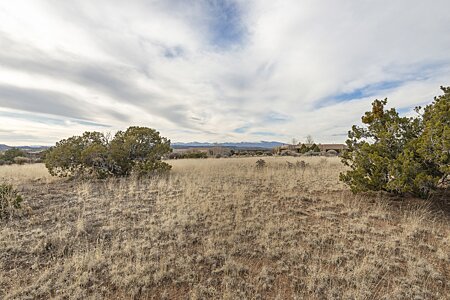 Standing on the Homesite, looking North