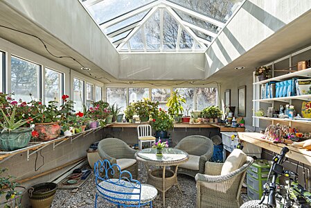 Greenhouse with happy geraniums