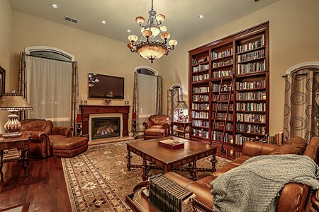Library with gas fireplace and rolling ladder
