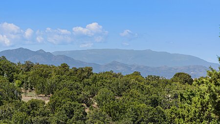 Sandia Mountain Views from Property