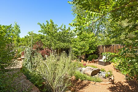 Bonus Backyard with Landscaped Garden and Fountain