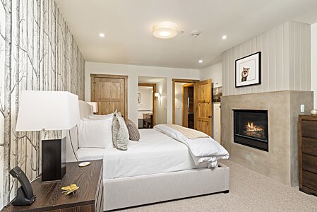 Main Level Primary Bedroom Suite with Gas Fireplace 