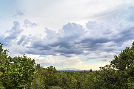 Southwest View through the Trees to Sandia Mountain in Albuquerque
