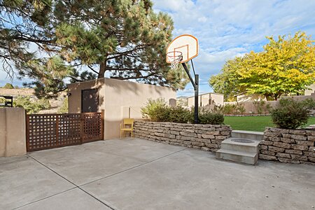 Storage shed with basketball hoop area in backyard