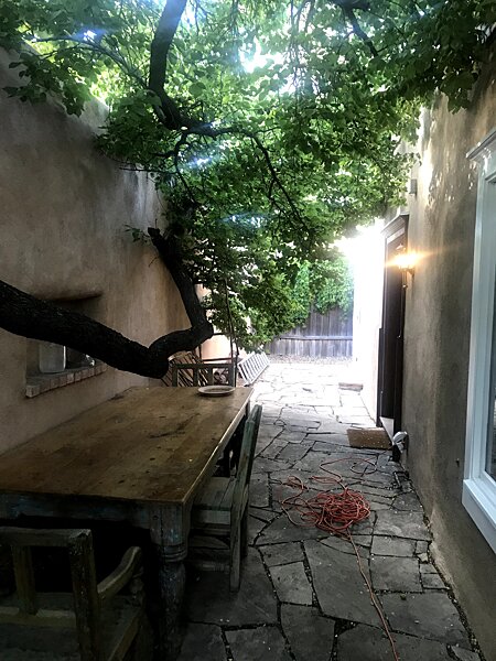 The rear courtyard, showing the ancient apricot tree in springtime