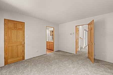Primary suite with walk-in closet