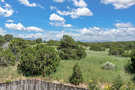 East View From Deck