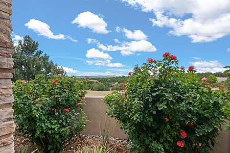 Back Portal - Landscaped Gardens