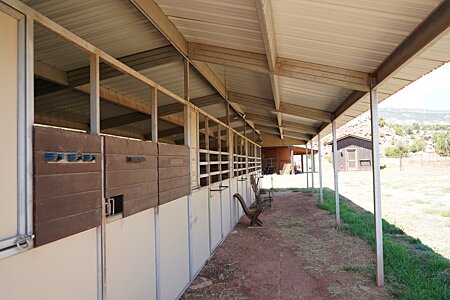 Horse Stalls