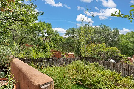 Looking Southeast from Back Patio