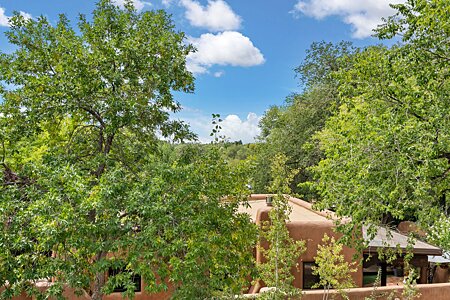 Looking South from Back Patio