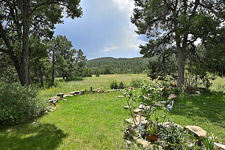 Side Yard off of Living Area