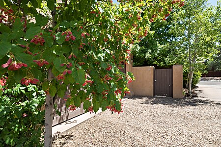 Two car garage behind the flowering fruit trees