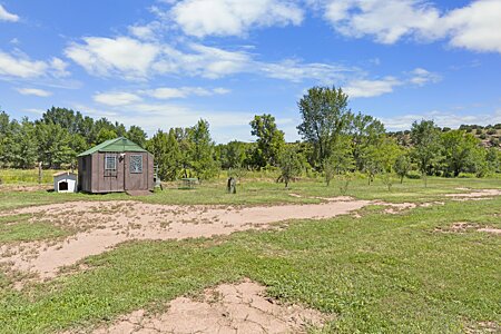 Shed + fruit trees