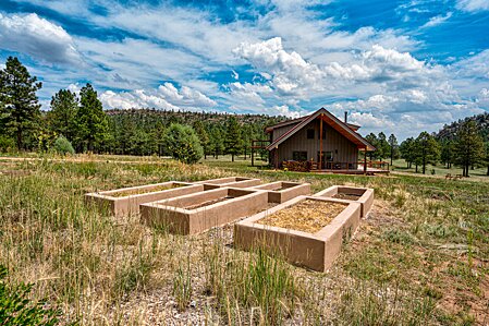 Garden Beds